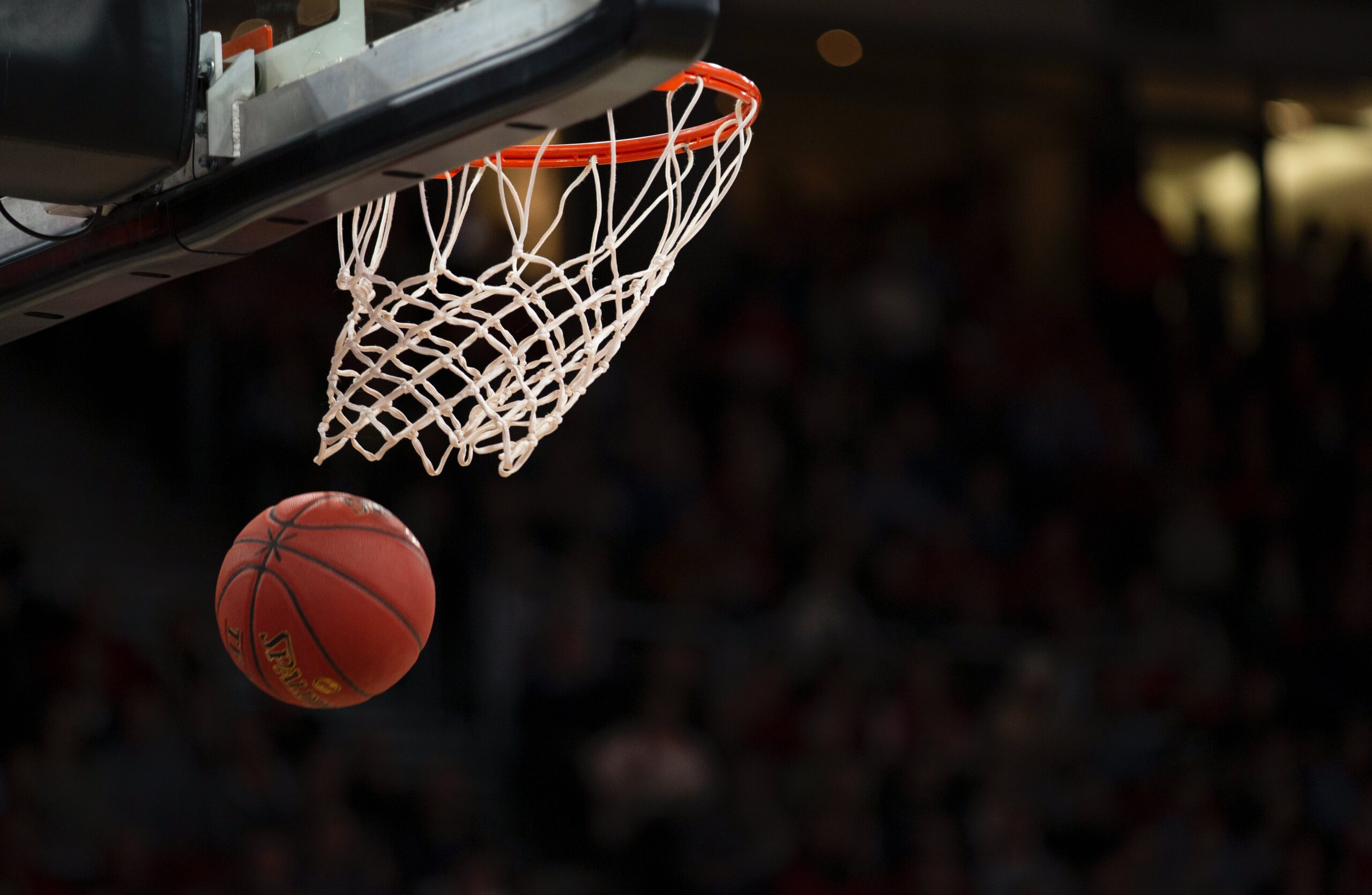 Le scommesse sul basket